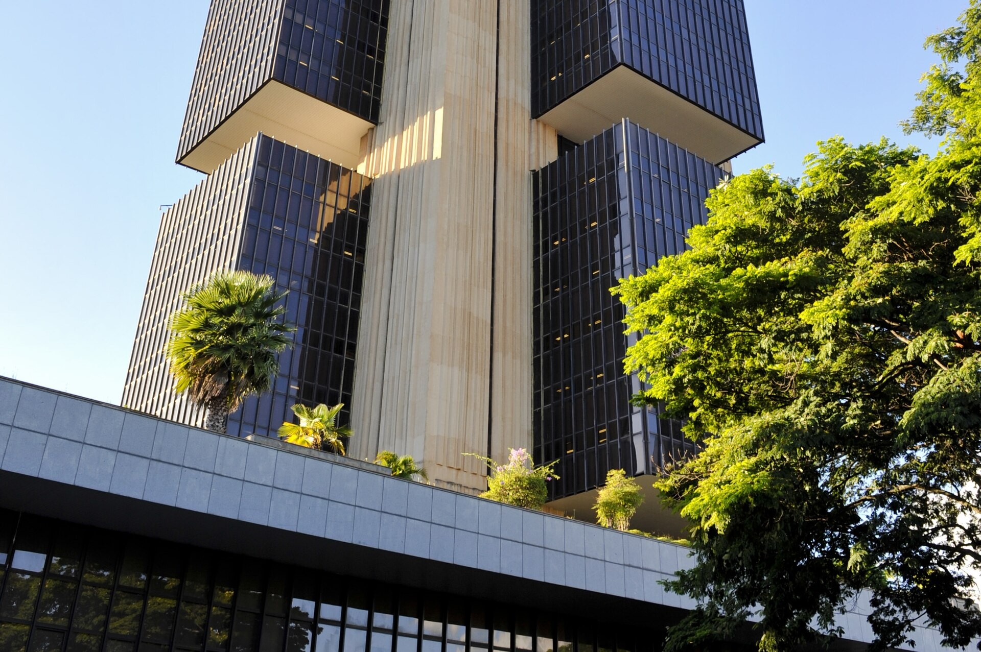 Fachada do edifício-sede do Banco Central do Brasil, em Brasília, com torres de vidro escuro e uma árvore em primeiro plano sob céu azul.